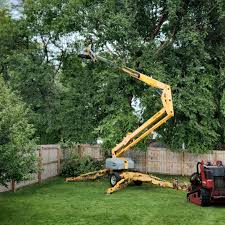 Best Root Management and Removal  in Village Of Four Seasons, MO