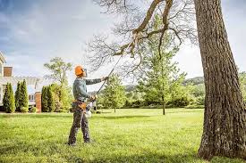 Best Tree and Shrub Care  in Village Of Four Seasons, MO