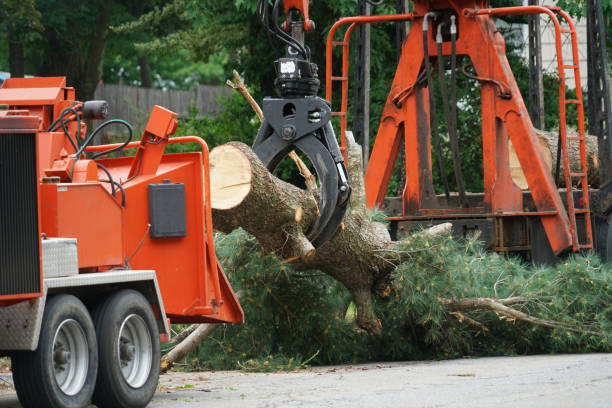 Best Arborist Consultation Services  in Village Of Four Seasons, MO